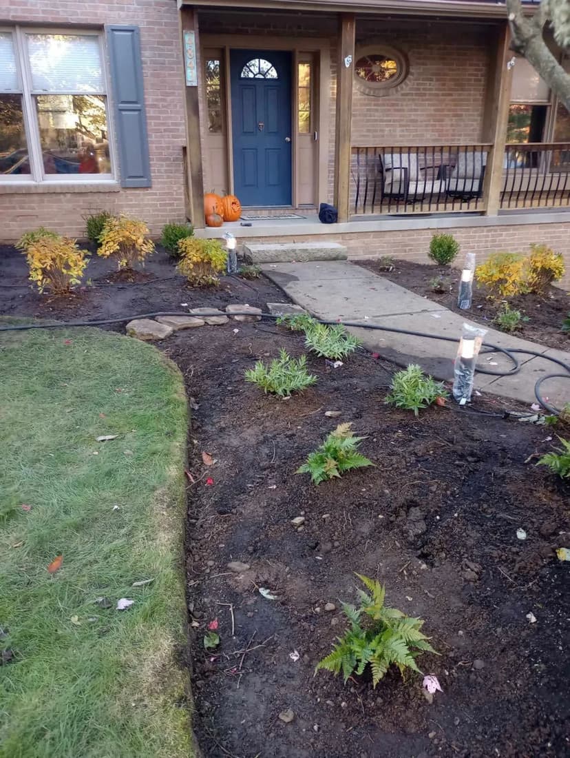 Front yard landscape with newly planted ferns, decorative lights, pumpkins, and a welcoming entrance.